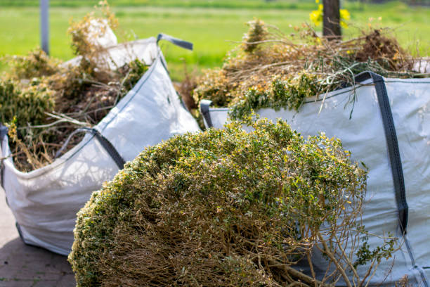 Best Attic Cleanout Services  in Braddock, VA